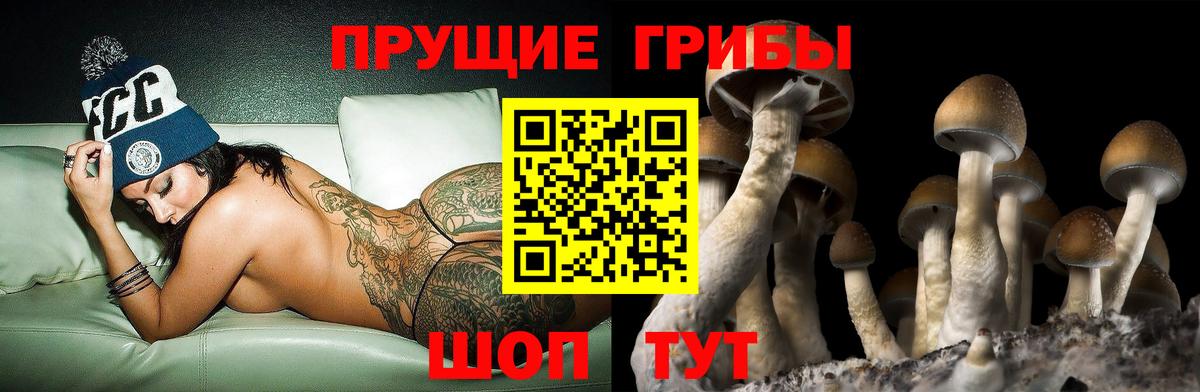 Псилоцибиновые грибы Psilocybe Шали